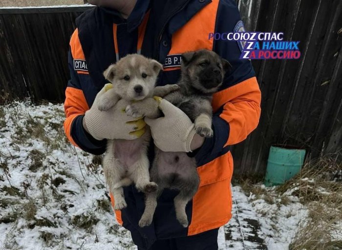 Спасатели Богучанского поисково-спасательного отряда спасли жизнь четверым «хвостикам»