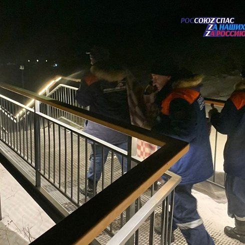 На самой длинной лестнице в России освободили косулю