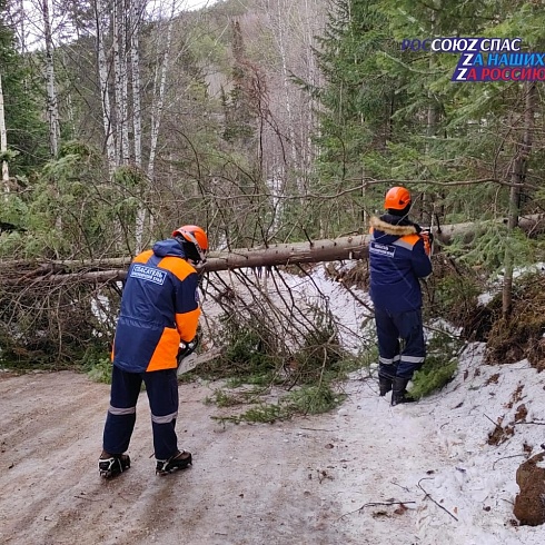 В Красноярском крае спасатели ликвидируют последствия сильного ветра