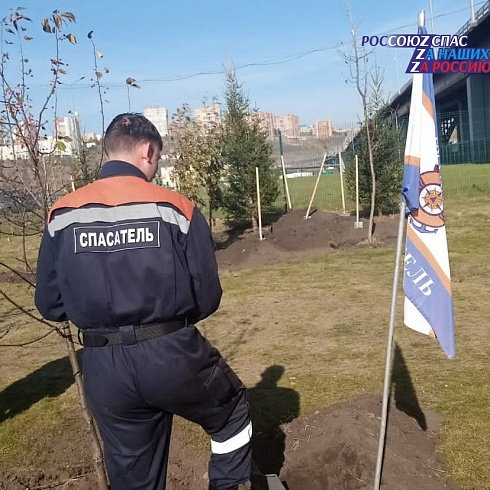 В Красноярске 7 октября состоялась акция по посадке деревьев, организованная представителями Общероссийского народного фронта в честь дня рождения Президента Российской Федерации
